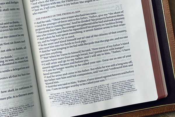 Reflections From The Parable Of The Prodigal Son (Luke 15:11-32)